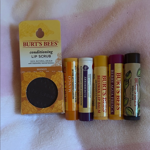 Burt's Bees Other - Burt's Bees Lip Care Collection - Honey, Mango, Elderberry
